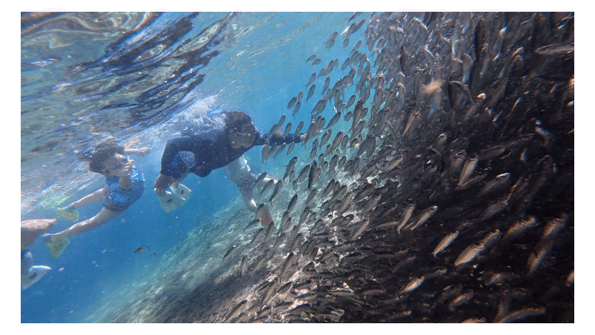 796a26d002e34bef7ba5b2b50f02f65b_1757730629_9927.gif 796a26d002e34bef7ba5b2b50f02f65b_1757730629_9927.gif