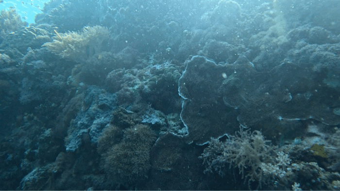 aac04ee99d6353cb3f58f21b280be0c9_1757644368_2982.gif