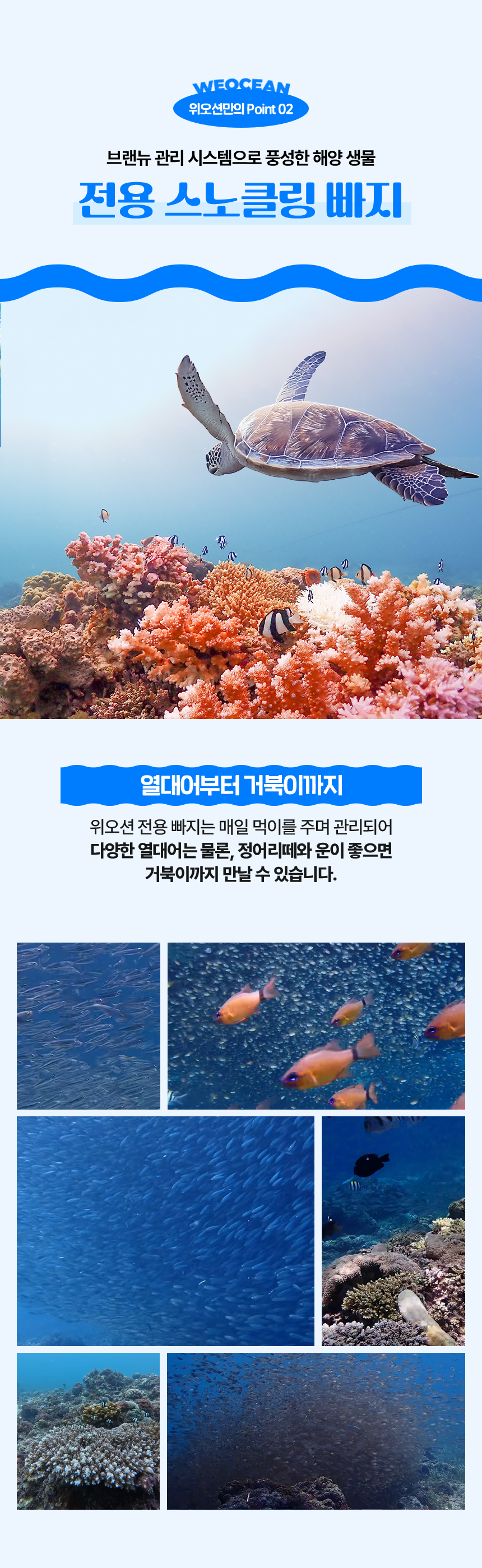 d36f77efac7e0c508859961c8544302e_1761011742_3922.png d36f77efac7e0c508859961c8544302e_1761011742_3922.png